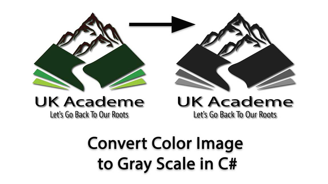 Convert_Color_Image_Into_Gray_Scale_Image