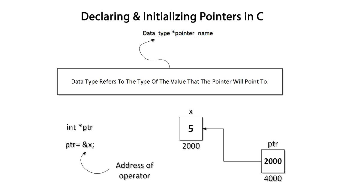 Initialize_Pointer_Variables_And_Address_Of_Operator CProgramming Questions Bank