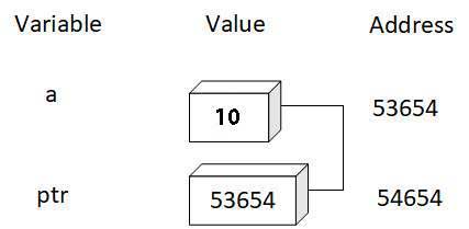 Pointer Point to a variable