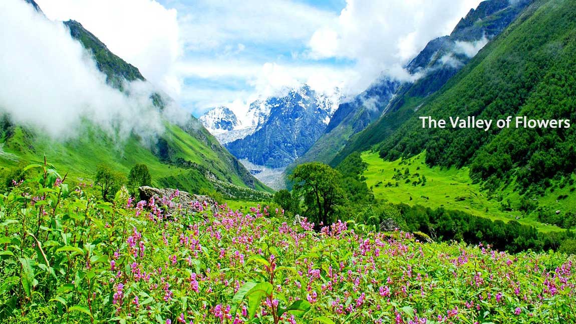 The Valley Of Flowers UK Academe